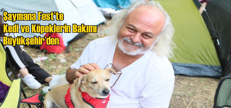 Şaymana Fest’te Kedi ve Köpeklerin Bakımı Büyükşehir’den