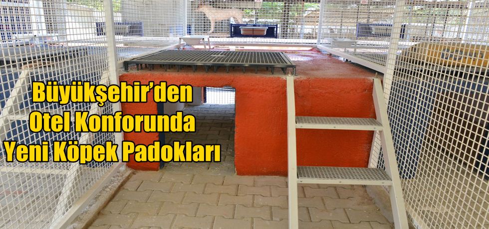 Büyükşehir’den Otel Konforunda Yeni Köpek Padokları