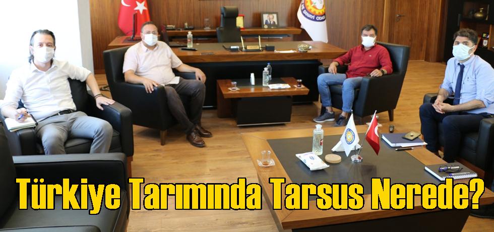 Türkiye Tarımında Tarsus Nerede?