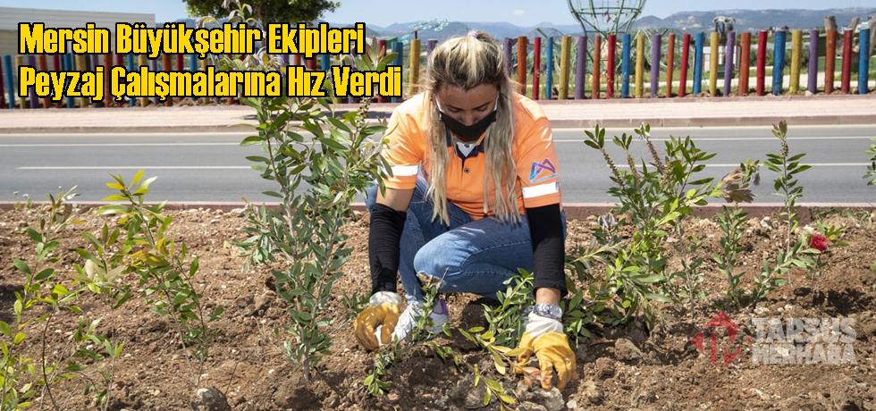 Mersin Büyükşehir Ekipleri Peyzaj Çalışmalarına Hız Verdi